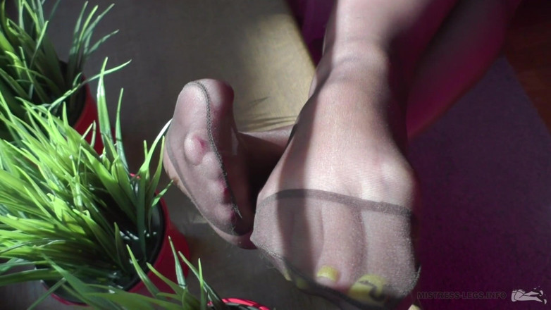 Mistress Legs: Gospodyni nylonowe nogi przy oknie
