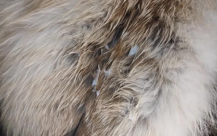Princess18_: Bukkake with Big Mess on My Fur Coats