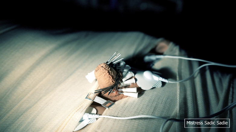 Sadic Sadie: 미라화, 주사, 인지행동치료, 전기 놀이가 포함된 의료 게임.