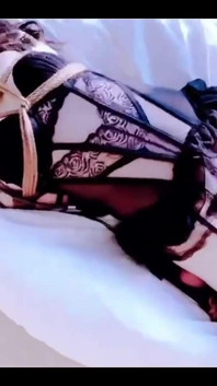 The Temptation of Erotic Lingerie