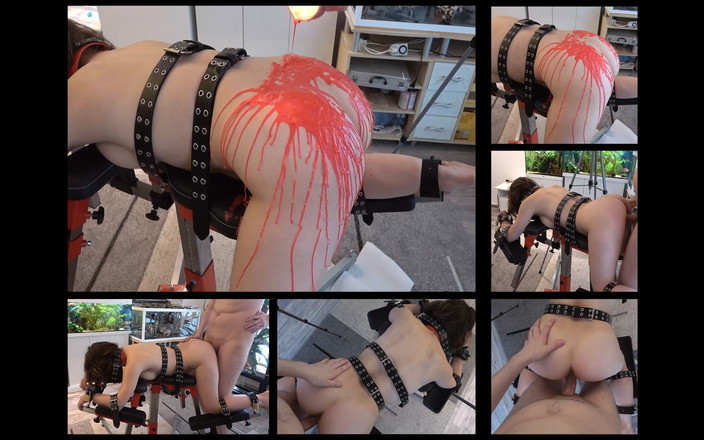 Master-Thomas: Раб на розведення рам використовується і запліднений 2