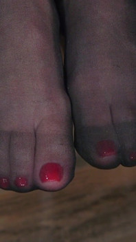 Good Pets Worship Helena's Feet in Stockings Featuring Helena Locke