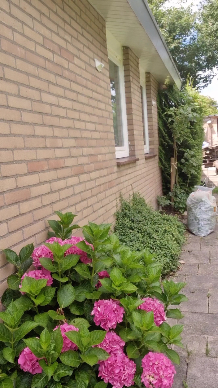 Anna Lynx: 冒险的阴户在户外玩耍