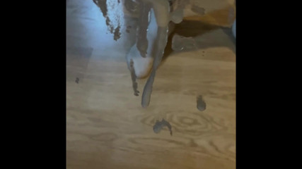 Housebeard: Sólo spust