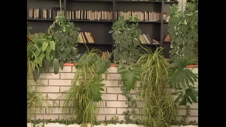 Bisexual Illusion: Io... Lei.... E Il Di Lui!! - (vol. # 05)