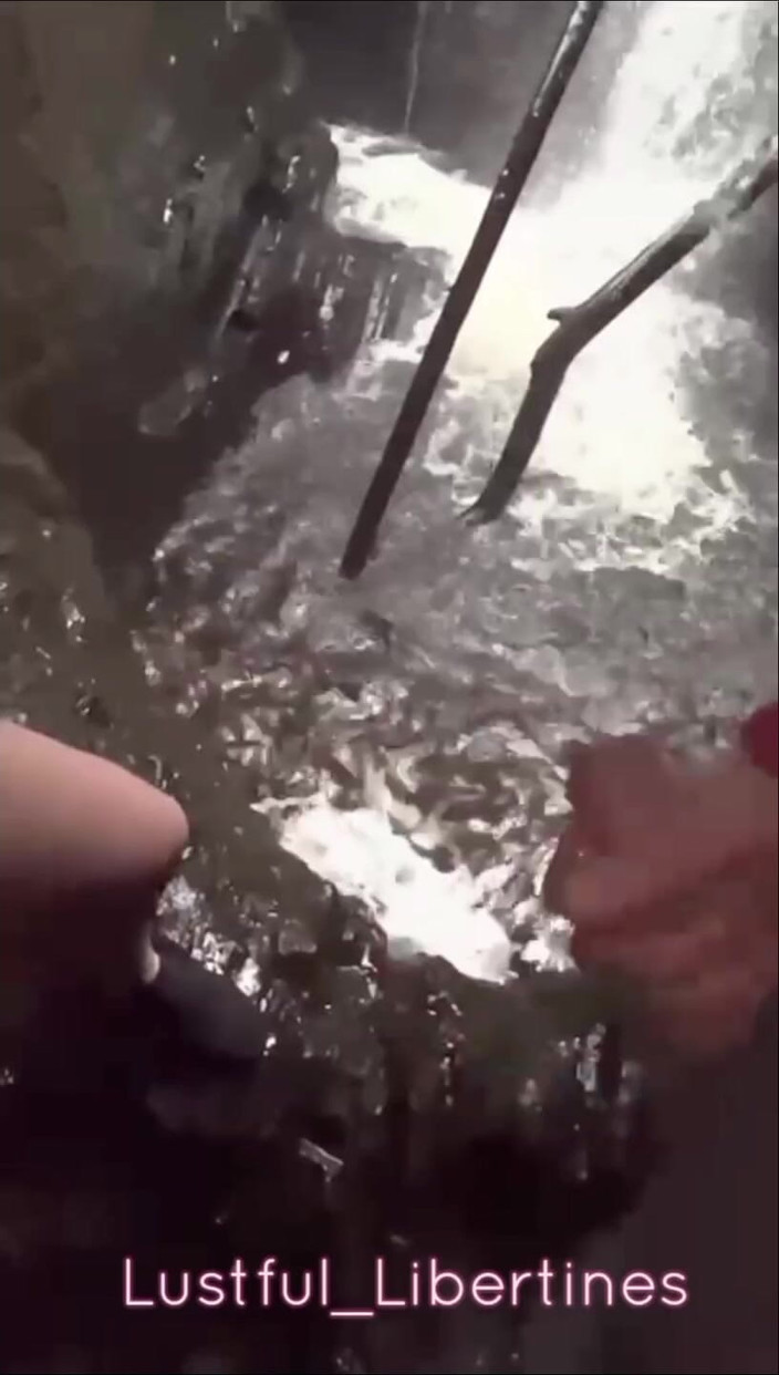 Lustful Libertines: Nur Ein Bisschen Wälder Ficken Und Lutschen