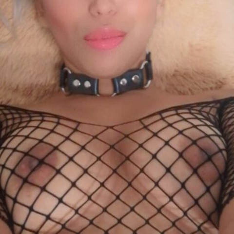 Faphouse