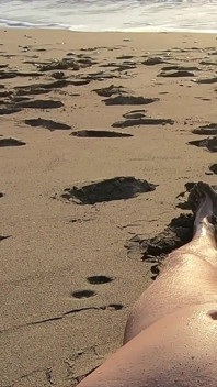 Sega in spiaggia: la bellezza in bikini lo fa ricevere un enorme sborrata in spiaggia