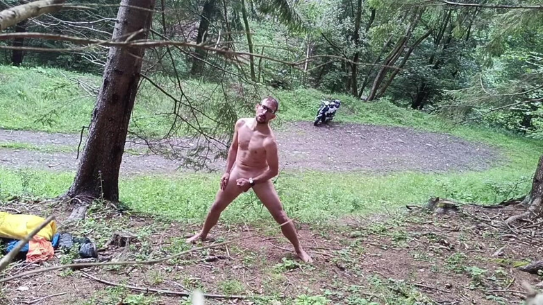 kickerscooter: Fauna selvatica