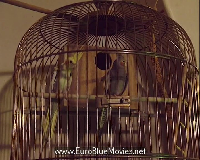 Euro Blue Movies: Josephine - pieprzony Nowy Rok