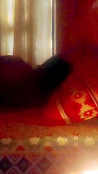 Hotwife Ankita Ki Chudai Oyo Hotel Me Novio Ne Ki