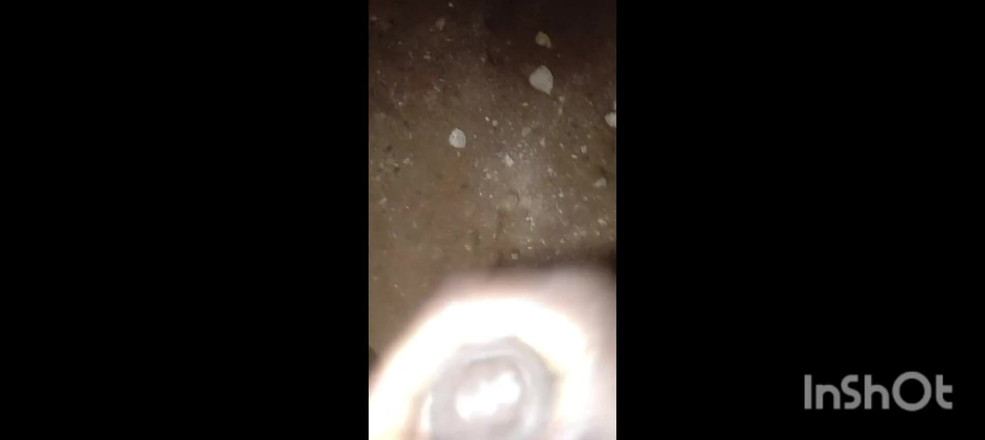 Hongi: Hoeveel centimeter is deze enorme monster lul