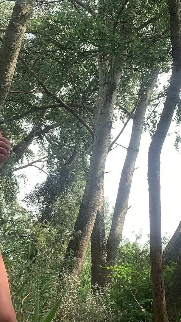Flashing You in the Woods