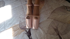 LauraOnHeels: My Beautiful Shoes (8 Inches Platform Heels)