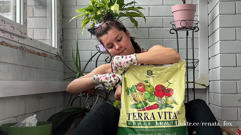 Renata Fox: My Neighbours Have a Premium Subscription to My Balcony