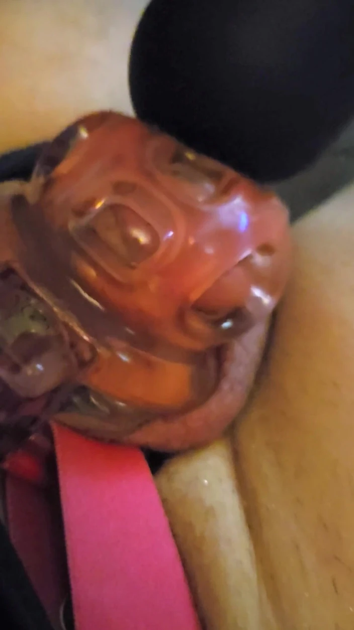 Kween sissy: Retar sin kuk medan han är låst