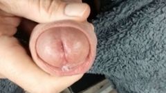 Rockardglans: 屋外のクローズアップで台無しにされた兼エッジング - Rockard Daddy