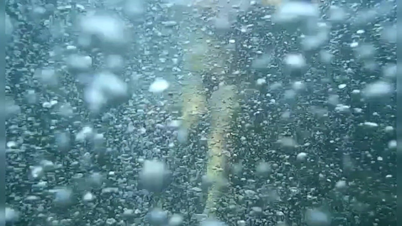 Risky Hairy Couple: Bơi lội và khoe hàng trên biển