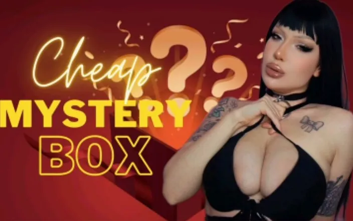 LDBMistress: Cheap Mystery Box
