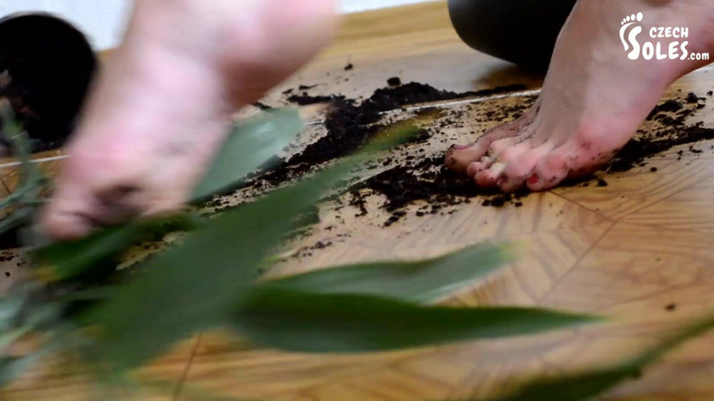 Czech Soles - foot fetish content: Umilire cu picioare murdare, vedere la persoana 1