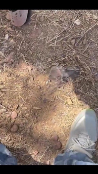 Indian Desi Muslim Girl Cheating Boyfriend and Rough Sex with Village Boy at Jungle Outdoor - Hindi Audio