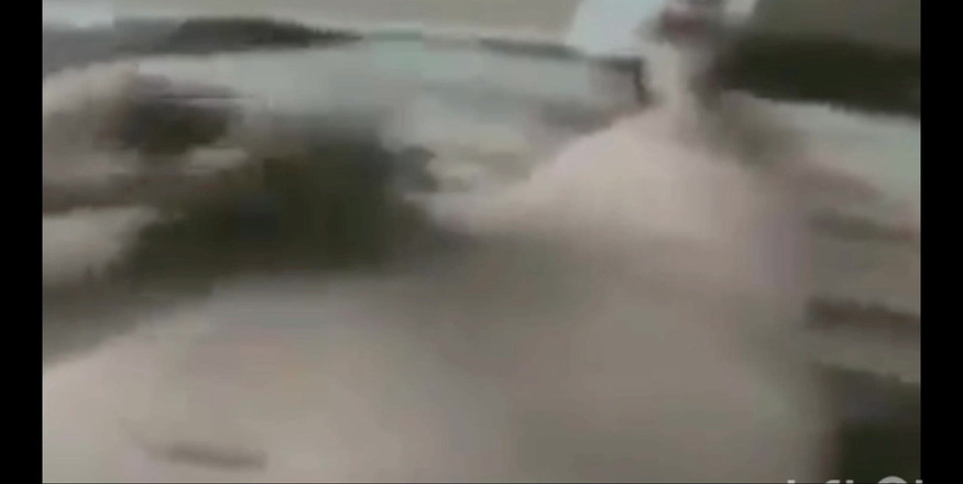 RoyToyBoi: Sega Kinda Day