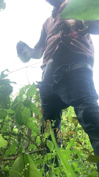Pancutan cepat selepas berjalan-jalan panjang di dalam hutan