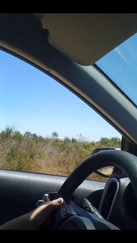 Taking a Drive... the Air Feels so Good on My Bare Skin