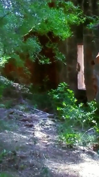 Teen Damaris with big boobs is taken hard by step brother in the forest