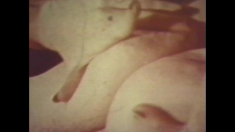 Vintage megastore: Pump Pork