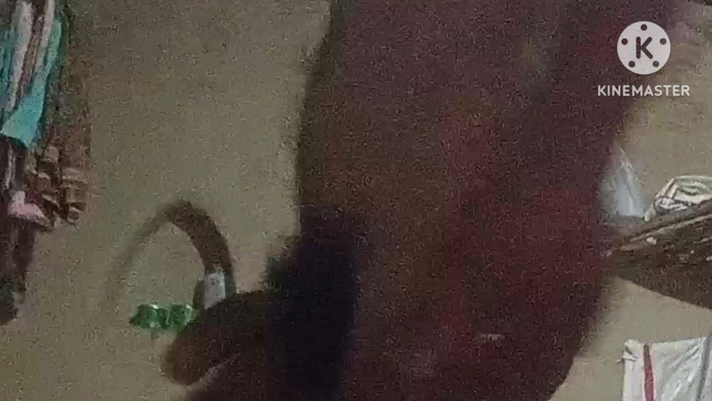 vijay Yadav: Bhabhi šuká s 9 palcovým penisem