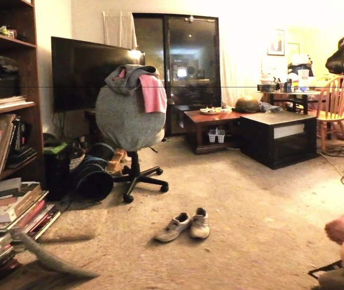 J13D75 VR: Si blonde panas cuba untuk terus hamil semasa teman lelakinya...