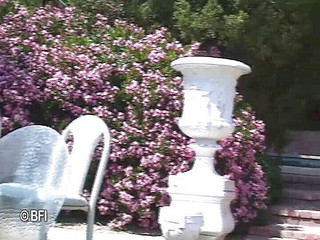 Battle of the asses and pussies: 大约 7 个男人都可以操这个胖美女