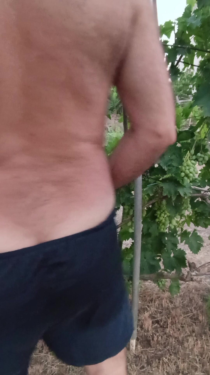 Bob Vajra: Vineyard 2