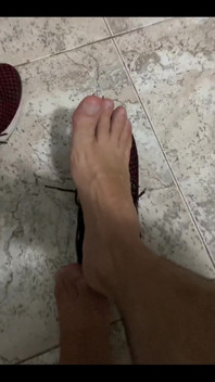 Pies Pies Pies