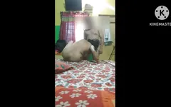 Local real tia sexo sexy tia rabuda rabuda peituda hardcore sexo desi tia