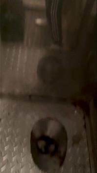 Kinkysirius in Chav Scally Outfit in the Most Dirty Train Toilet