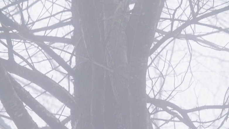 Himeros.tv: Nackt in der natur