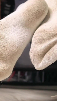 Be My Sock Bitch