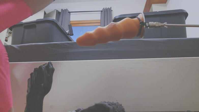 Chastitybeltboy: Mężczyzna w czystości z różowymi lateksowymi pończochami cieszy się maszyną...