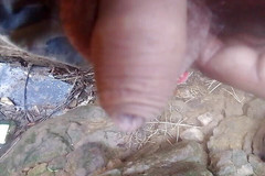 Gangbang straight: Čůrání ptáka jako hydrální pumpa