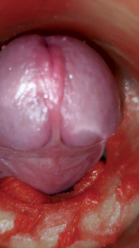 Sperma utan spermier. Utmärkt intern kamera. 4K