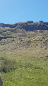 Out in the Open 1