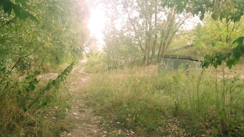 Mark: Een vreemde geneukt in het bos