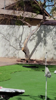 Strip Cornhole En Vegas Heat Termina Con Tetas Aceitosas Ordeñando Rastas BBC