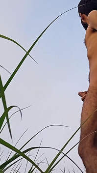 VID_20250717_061433.mp4