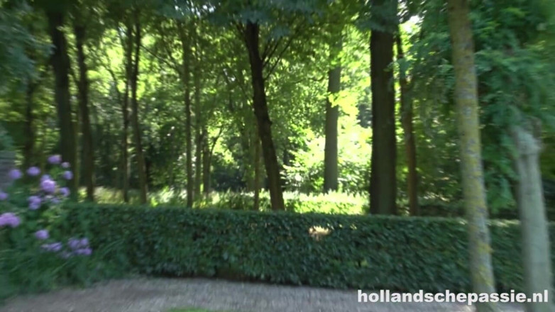 Hollandsche Passie: エスメは公の場でやられた