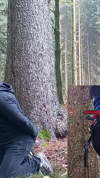 Di Dalam Hutan, Si Loser Dapat Zakar