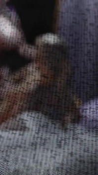 Nyl-animationen teil 2