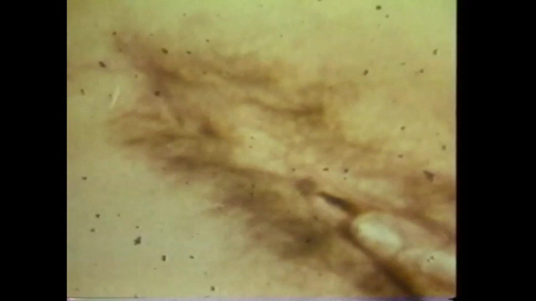 The Unforgettable: Masturabada điên rồ